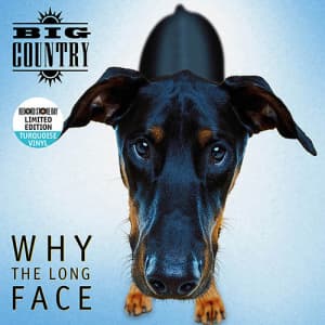 Big Country - Why The Long Face (Rsd24 Ex) (LP)