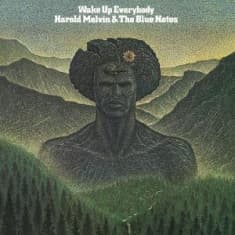Harold Melvin & The Blue Notes - Wake Up Everybody (LP)