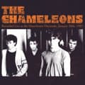 Miniatyrbilde 1 av 2: Chameleons - Recorded Live At The Manchester (Or (LP)