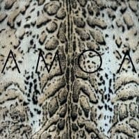 Amoa - I'll Be Kind (LP)