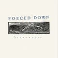 Miniatyrbilde 1 av 2: Forced Down - Liberate (Cloudy Clear Vinyl Lp) (LP)