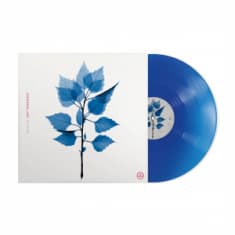 Matt Berninger - Get Sunk (Indie Exclusive Transluce (LP)