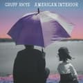 Miniatyrbilde 2 av 2: Gruff Rhys - American Interior (2025 Remastered (LP)