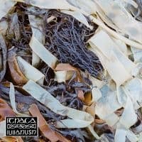 Lullahush - Ithaca (LP)
