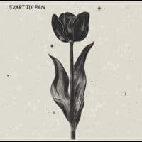 Svart Tulpan - Svart Tulpan (LP)
