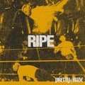 Miniatyrbilde 2 av 2: Pretty Rude - Ripe (LP)
