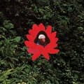 Miniatyrbilde 1 av 2: Lionmilk - When The Flowers Bloom (LP)