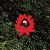 Lionmilk - When The Flowers Bloom (LP)