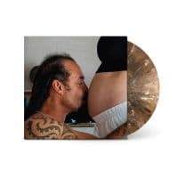 Franti Michael & Spearhead - Welcome To The Family (LP)