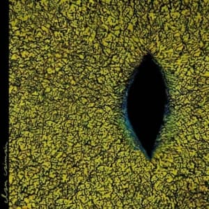 Clan Caiman - Clan Caiman (LP)
