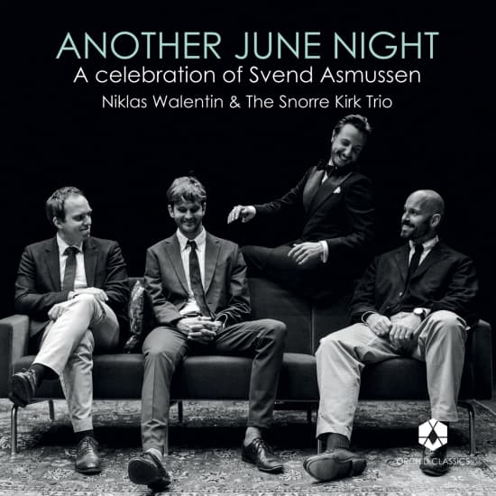 Niklas Walentin Snorre Kirk Trio - Another June Night (LP)