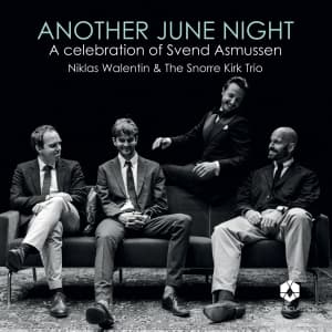 Niklas Walentin Snorre Kirk Trio - Another June Night (LP)