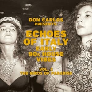 Various Artists - Echoes Of Italy: Early 90S House Vol. 2 (LP)