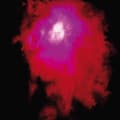 Miniatyrbillede 1 af 2: Porcupine Tree - Up The Downstair (LP)