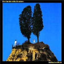 Elvis Costello And The Attractions - Goodbye Cruel World (LP)