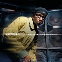 Sherelle - With A Vengeance (LP)