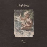Wunderhorse - Cub (Crystal Clear Vinyl) (LP)