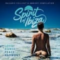 Pikkukuva 1 / 2: Various Artists - Spirit Of Ibiza (LP)