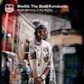 Miniatyrbillede 2 af 2: Madlib - Wlib Am: King Of The Wigflip (LP)
