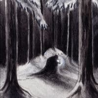 Havukruunu - Havulinnaan (LP)