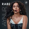 Miniatyrbillede 1 af 2: Aynur - Rabe - Raven (LP)