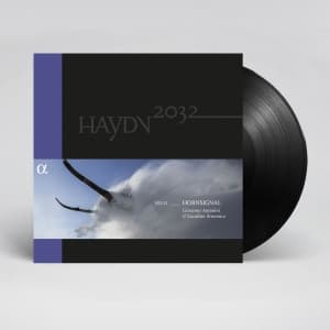 Joseph Haydn - Haydn 2032, Vol. 13 - Horn Signal (LP)