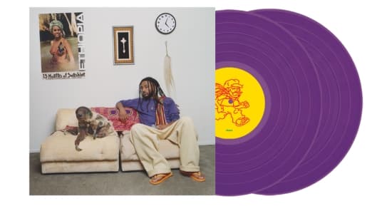 Aminé - 13 Months Of Sunshine (Purple Vinyl Edition) (LP)