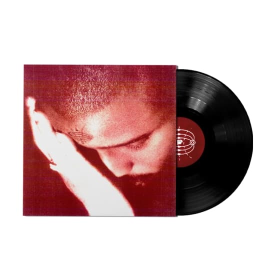 Nourished By Time - The Passionate Ones (LP)