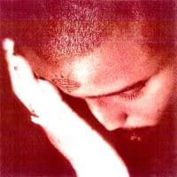 Nourished By Time - The Passionate Ones (LP)