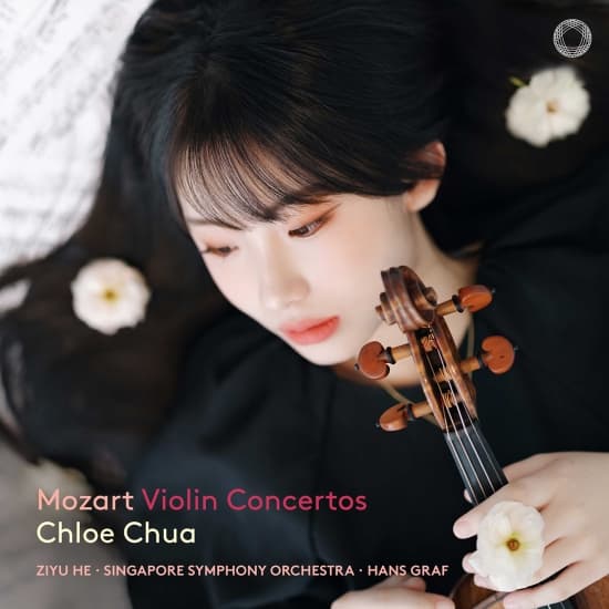 Mozart W A - Violin Concertos (LP)