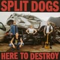 Miniatyrbilde 1 av 2: Split Dogs - Here To Destroy (LP)
