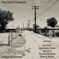 The Dark Flowers - Indian Summer (LP)