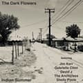 Miniatyrbilde 1 av 2: The Dark Flowers - Indian Summer (LP)