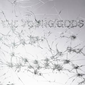 The Young Gods - Appear Disappear (LP)