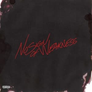 Burna Boy - No Sign Of Weakness (LP)