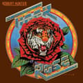 Miniatyrbilde 1 av 2: Robert Hunter - Tiger Rose (LP)