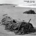 Miniatyrbillede 1 af 2: Thinking Fellers Union Local 282 - Tangle (LP)