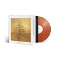 Miniatyrbillede 2 af 2: Empyrium - Songs Of Moors & Misty Fields (Marb (LP)