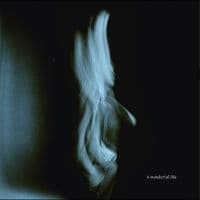 Tom Odell - A Wonderful Life (LP)