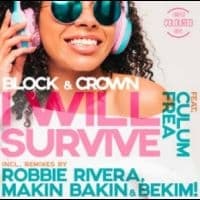 Block & Crown Feat Culum Frea - I Will Survive (LP)