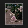 Miniatyrbild 1 av 2: Flatwaves - Tell Me Secrets (LP)