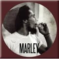 Miniatyrbild 1 av 2: Bob Marley Fridge Magnet: Circle