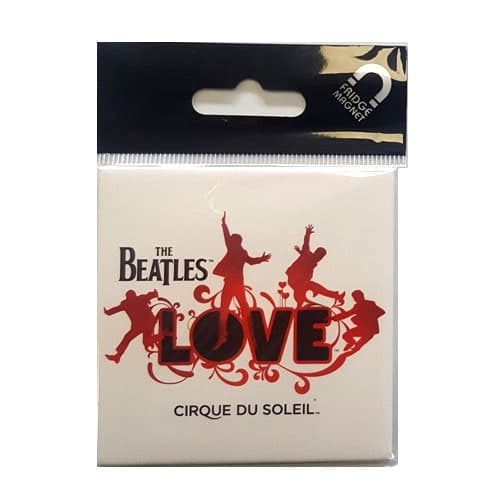 Love Fridge Magnet: Logo on White