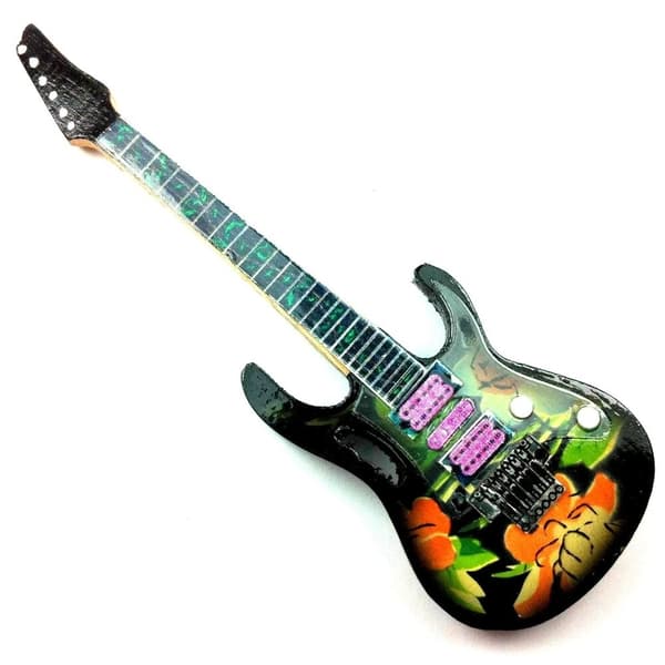 Magnet for fridge: Steve Vai - Ibanez Flower Cut