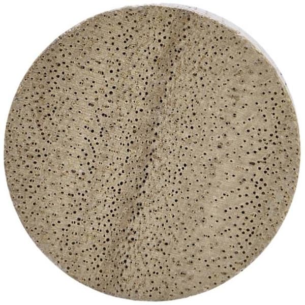 Magnetoplan Magnet Circle (Ø) 30 mm mutter 4 st 1665451
