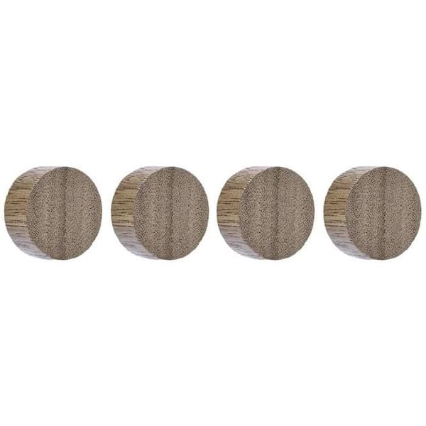 Magnetoplan Magnet Circle (Ø) 30 mm mutter 4 st 1665451