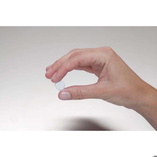 MAUL Magnet MAULpro Ø 1.5 x 0.75 cm vit