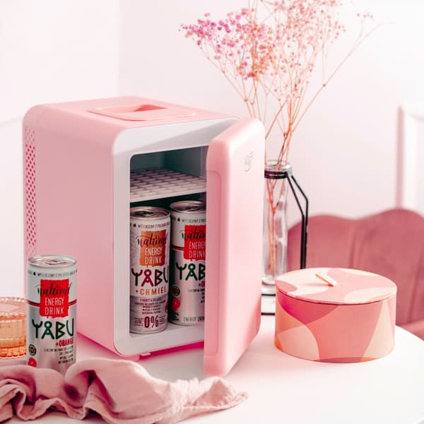 Adler Minikjøleskap 4 liter for både bil 12V og hjem 230V