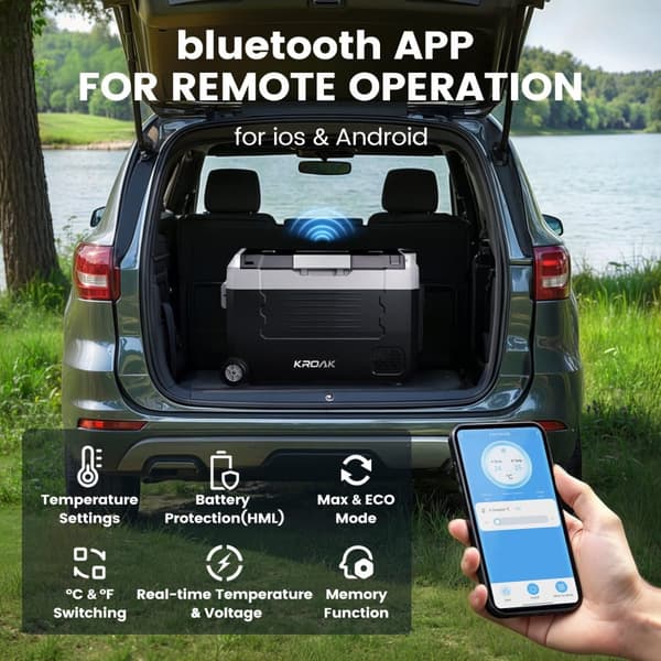 45L Cooler Box 12V 24V Kannettava Mini Jääkaappi bluetooth Sähköinen Pakastin Box Pieni Pakastin Auton Retkeily pyörillä ja kahvalla
