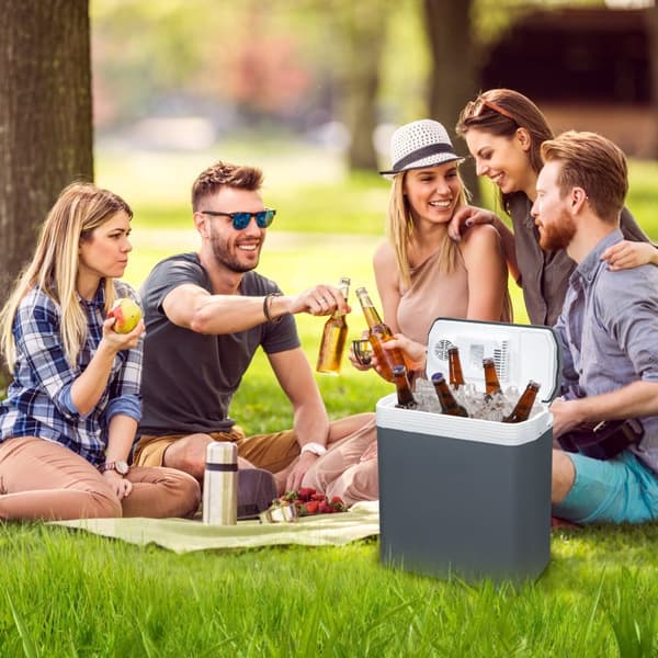 Elektrisk kylbox 32L Minikylskåp 230 V och 12 V för camping med bil kyler och värmer ECO Mode Grey